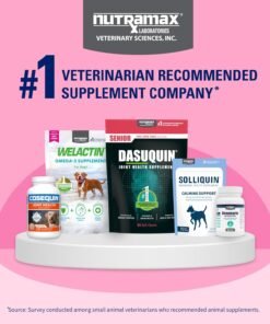 nutramax proviable probiotics for dogs and cats, daily digestive health supplement with multiple strains of bacteria, cat and dog probiotics plus prebiotics, 30 capsules