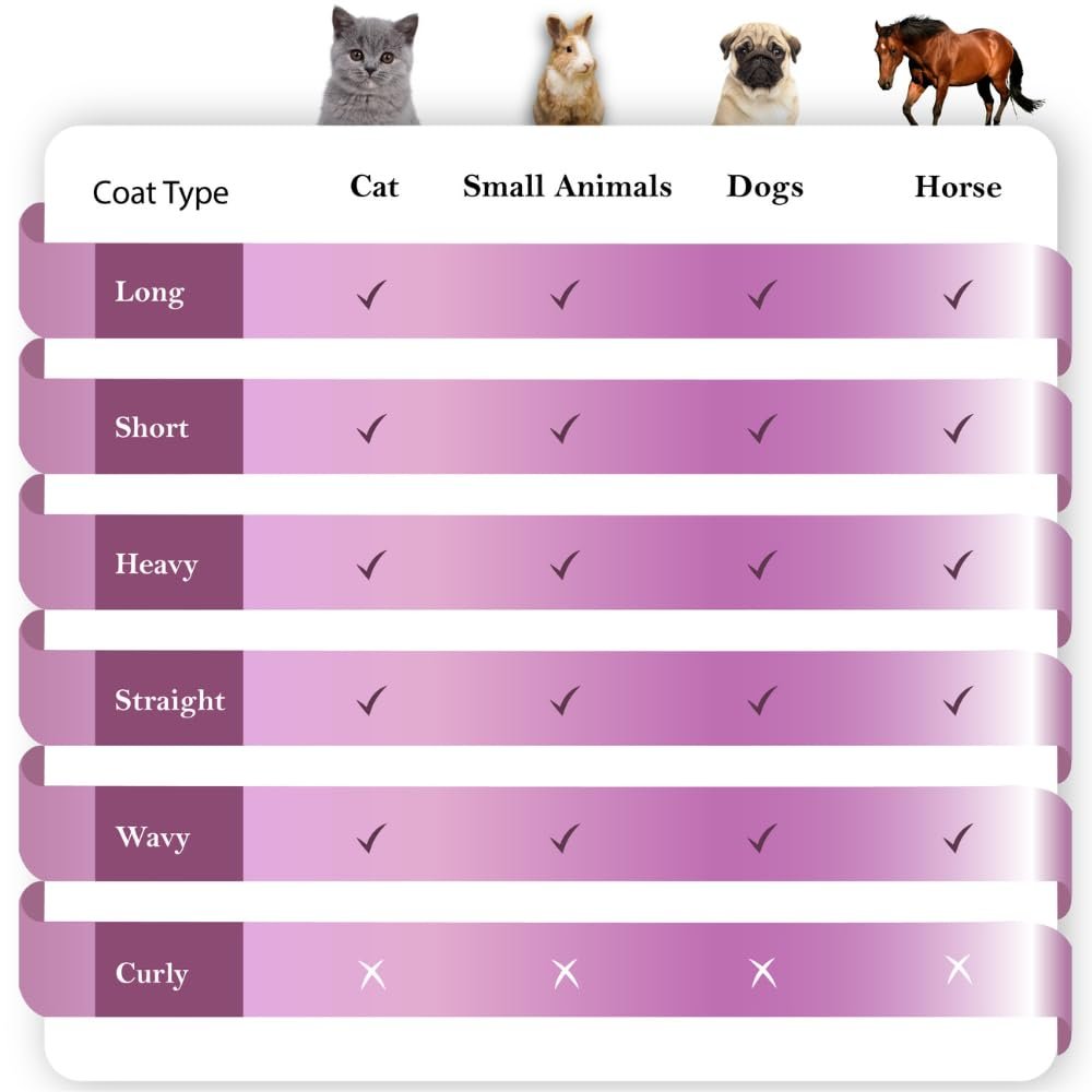 pet honesty chlorhexidine cat & dog seasonal itch relief shampoo, for allergies, itching, skin and coat supplement, helps shedding, hot spots, deodorizing dog shampoo & grooming supplies,16oz pet honesty chlorhexidine cat & dog seasonal itch relief shampoo, for allergies, itching, skin and coat supplement, helps shedding, hot spots, deodorizing dog shampoo & grooming supplies,16oz