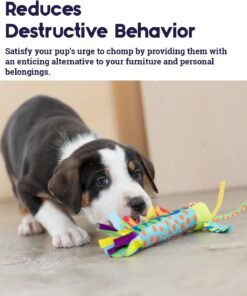 benebone 2 pack wishbone/dental durable dog chew toys, dog toys for aggressive chewers, real bacon, made in usa, medium