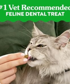 greenies cat treats, feline veterinarian recommended adult natural dental cat treats, oven roasted chicken flavor, 9.75 oz. tub