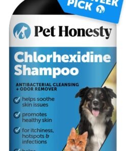 pet honesty chlorhexidine cat & dog seasonal itch relief shampoo, for allergies, itching, skin and coat supplement, helps shedding, hot spots, deodorizing dog shampoo & grooming supplies,16oz