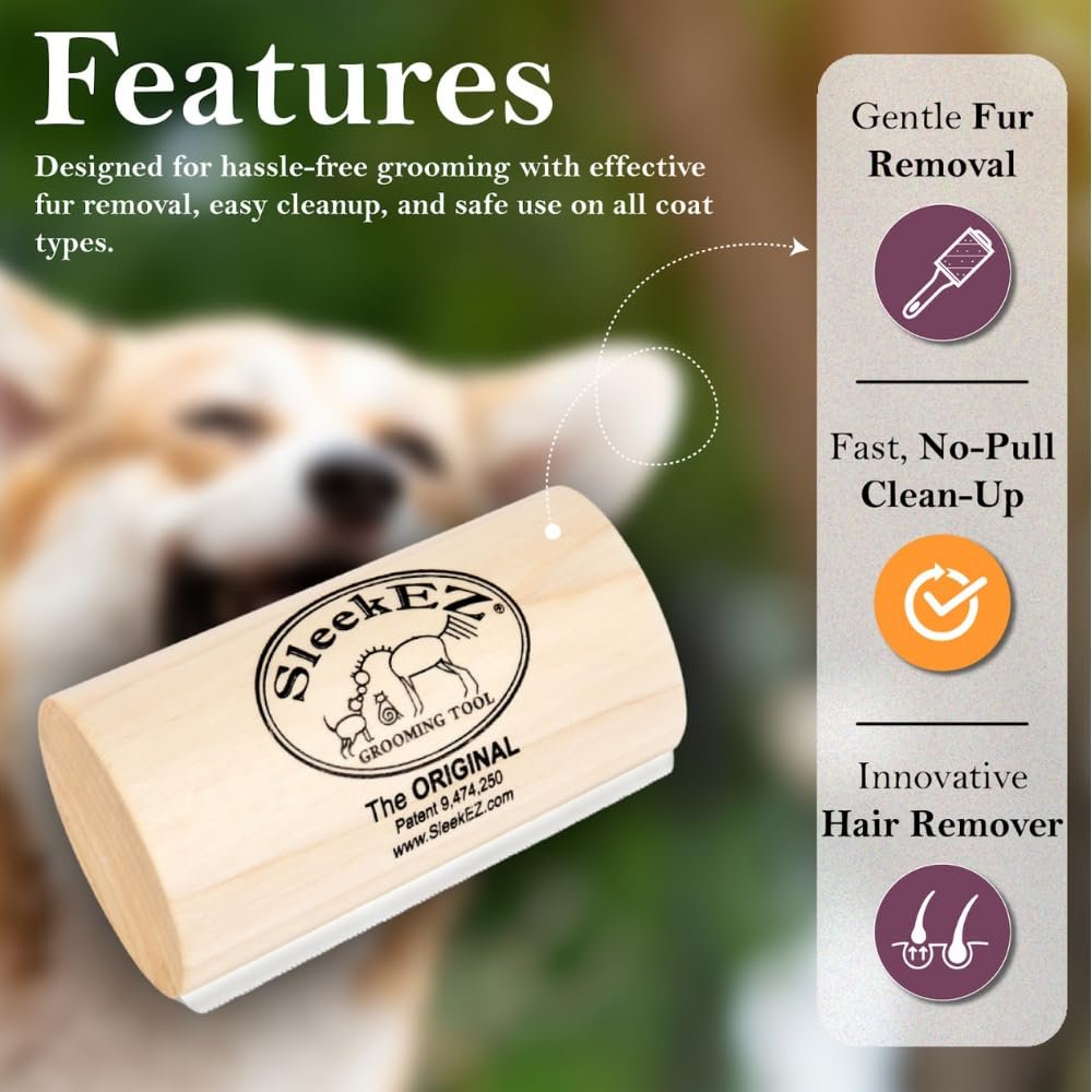 pet honesty chlorhexidine cat & dog seasonal itch relief shampoo, for allergies, itching, skin and coat supplement, helps shedding, hot spots, deodorizing dog shampoo & grooming supplies,16oz pet honesty chlorhexidine cat & dog seasonal itch relief shampoo, for allergies, itching, skin and coat supplement, helps shedding, hot spots, deodorizing dog shampoo & grooming supplies,16oz