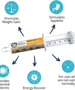 nordic naturals omega 3 cat, unflavored 2 oz 304 mg omega 3 per one ml fish oil for cats with epa & dha promotes heart, skin, coat, & immune health non gmo