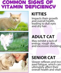cat multivitamin drops 15 in 1 vitamin supplement for immune support, heart, bones, joint, skin & coat health, bacon flavor vitamins for senior cats & kittens