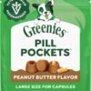 Greenies Pill Pockets Large Dog Treats | Peanut Butter (15.8 oz) greenies pill pockets large dog treats | peanut butter (15.8 oz)