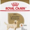 royal canin breed health nutrition labrador retriever adult dry 30lb bag