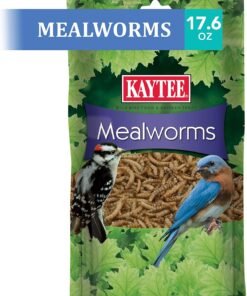 kaytee essentials blend with black oil sunflower, cracked corn and millet, wild bird food seed for cardinals, jays, finches, chickadees, nuthatches, woodpeckers, grosbeaks, juncos, 9.5 pounds