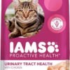 purina cat chow hairball, healthy weight, indoor, natural dry cat food, naturals indoor