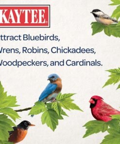 kaytee essentials blend with black oil sunflower, cracked corn and millet, wild bird food seed for cardinals, jays, finches, chickadees, nuthatches, woodpeckers, grosbeaks, juncos, 9.5 pounds