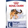 royal canin size health nutrition large adult dry dog food