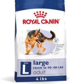 royal canin size health nutrition large adult dry dog food