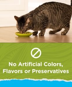 purina cat chow hairball, healthy weight, indoor, natural dry cat food, naturals indoor