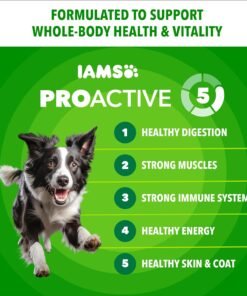 iams proactive health adult minichunks premium dry dog food, adult dog food dry recipe, 30 lb. bag