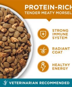purina cat chow hairball, healthy weight, indoor, natural dry cat food, naturals indoor