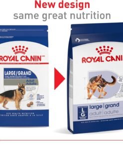 royal canin size health nutrition large adult dry dog food