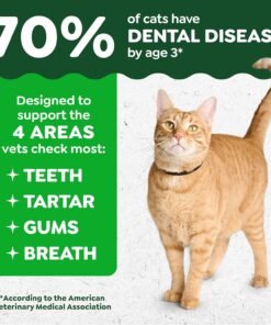 greenies cat treats, feline veterinarian recommended adult natural dental cat treats, oven roasted chicken flavor, 9.75 oz. tub