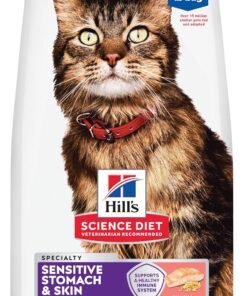 hill