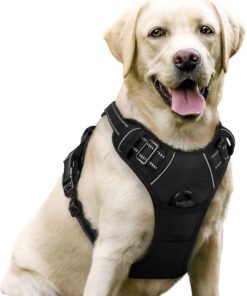 rabbitgoo dog harness no pull with 2 leash clips, adjustable soft padded, reflective oxford no choke pet vest with easy control handle for large dogs, black, l