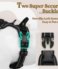 rabbitgoo dog harness no pull with 2 leash clips, adjustable soft padded, reflective oxford no choke pet vest with easy control handle for large dogs, black, l