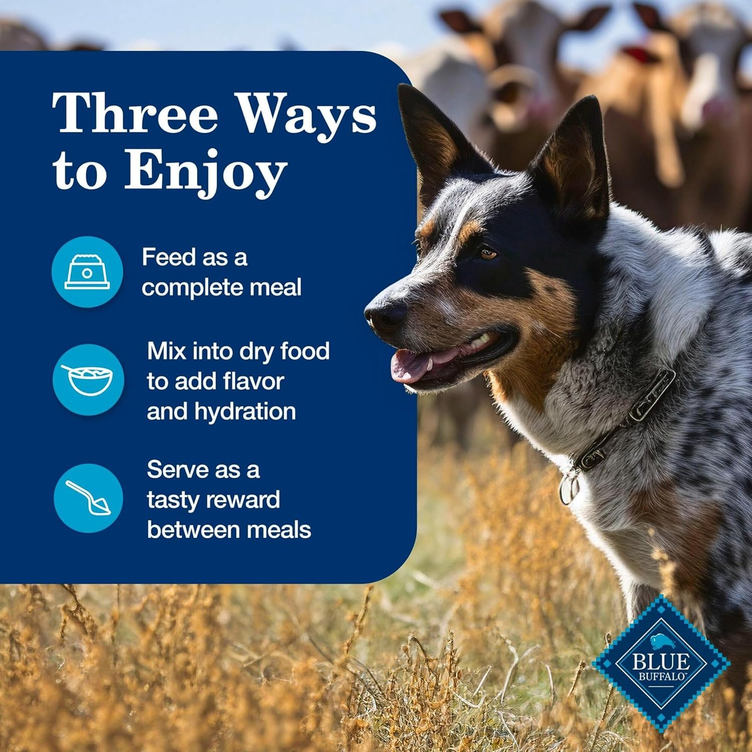 blue buffalo homestyle recipe chicken and turkey wet dog food for adult dogs, 12.5 oz. cans, 6 count variety pack blue buffalo homestyle recipe chicken and turkey wet dog food for adult dogs, 12.5 oz. cans, 6 count variety pack