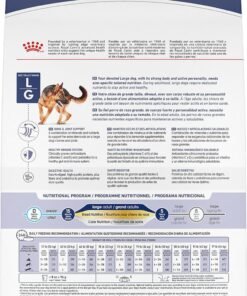 royal canin size health nutrition large adult dry dog food