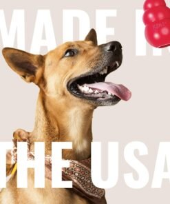 benebone 2 pack wishbone/dental durable dog chew toys, dog toys for aggressive chewers, real bacon, made in usa, medium