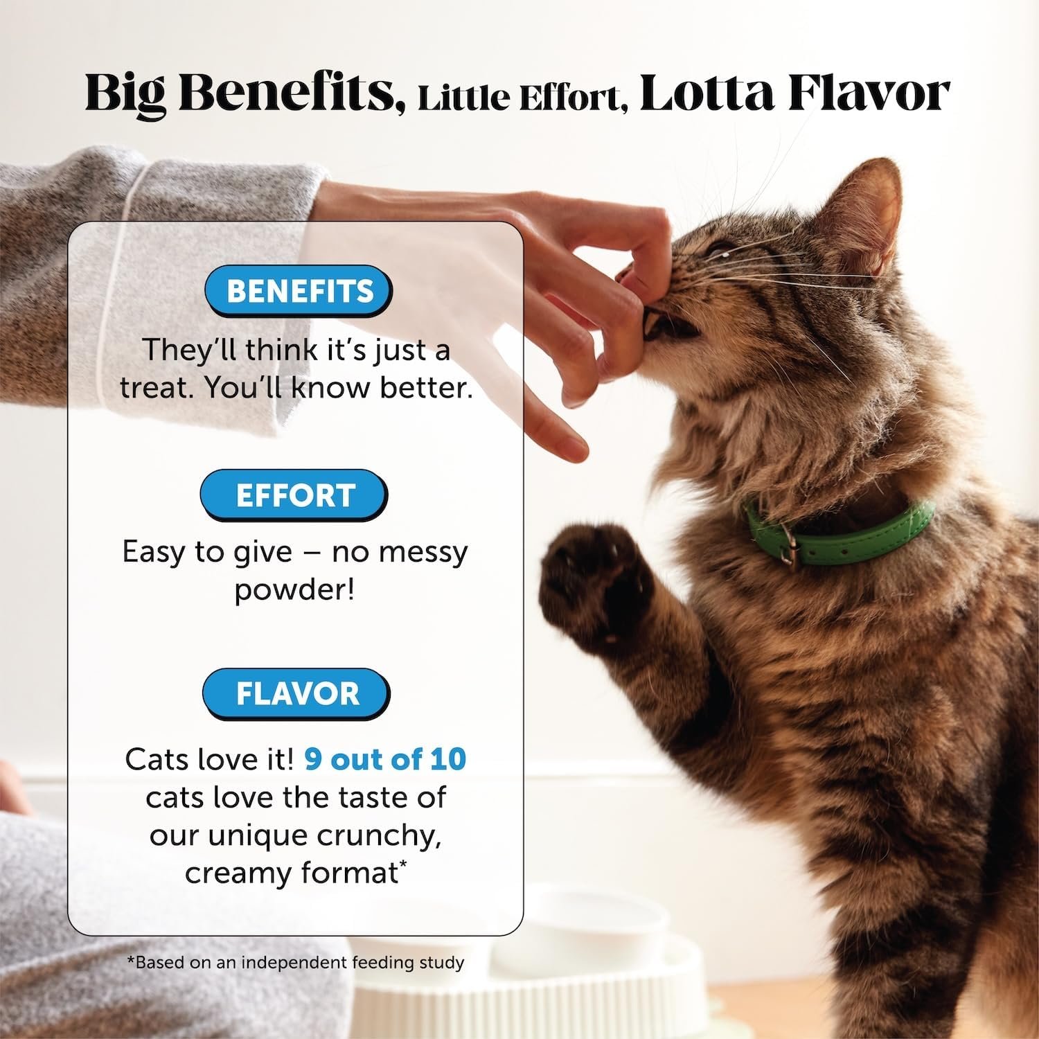 nordic naturals omega 3 cat, unflavored 2 oz 304 mg omega 3 per one ml fish oil for cats with epa & dha promotes heart, skin, coat, & immune health non gmo nordic naturals omega 3 cat, unflavored 2 oz 304 mg omega 3 per one ml fish oil for cats with epa & dha promotes heart, skin, coat, & immune health non gmo