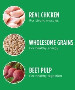 iams proactive health large breed dry dog food, adult dry dog food for large breeds, chicken, 15 lb.