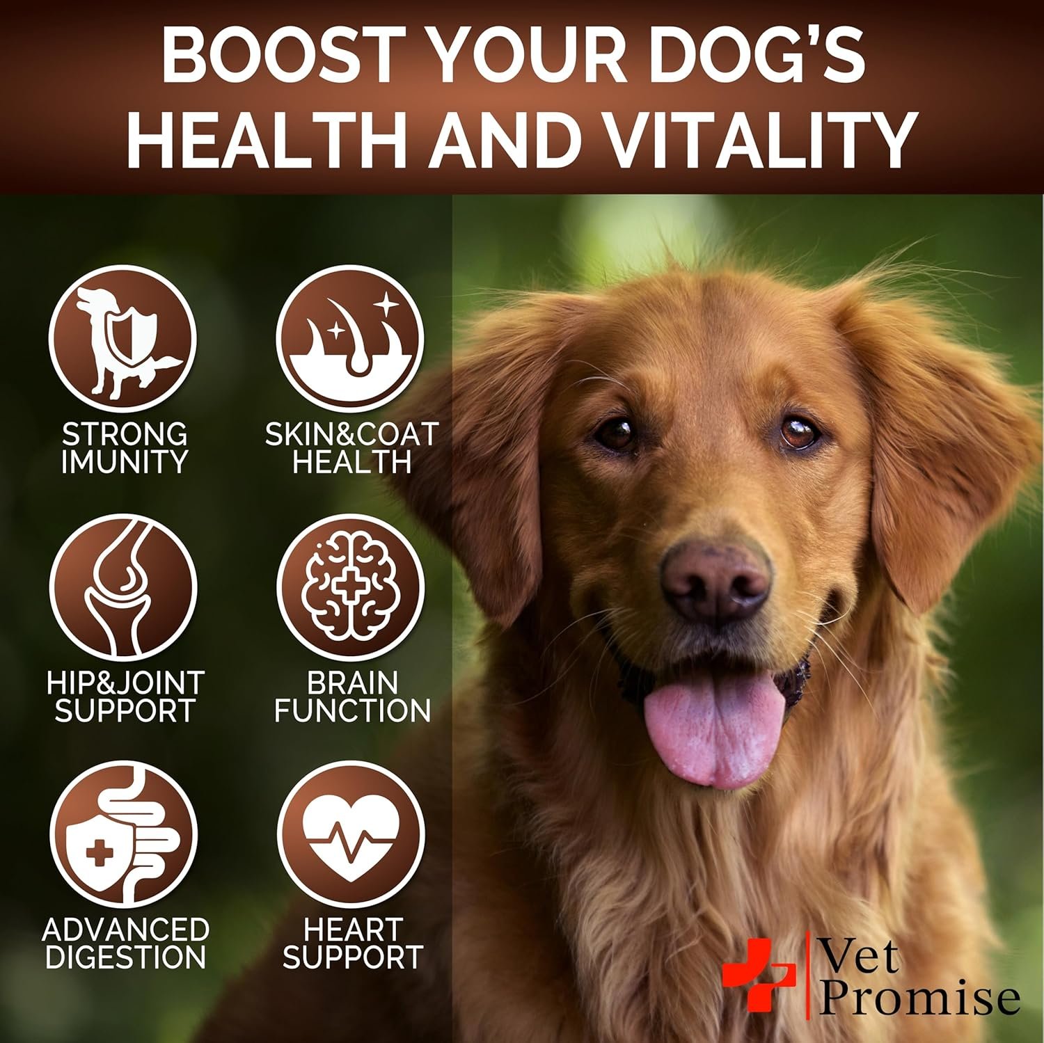 zesty paws dog multivitamin, chewable dog vitamins and supplements for hip & joints, skin & coat, omega 3 fish oil for dogs senior & puppy multivitamin chicken 90ct zesty paws dog multivitamin, chewable dog vitamins and supplements for hip & joints, skin & coat, omega 3 fish oil for dogs senior & puppy multivitamin chicken 90ct