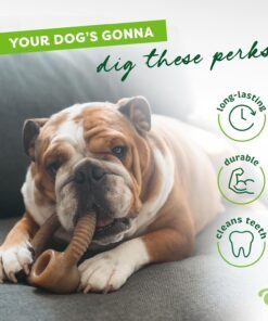 benebone 2 pack wishbone/dental durable dog chew toys, dog toys for aggressive chewers, real bacon, made in usa, medium