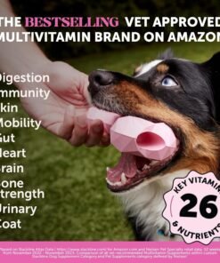 zesty paws dog multivitamin, chewable dog vitamins and supplements for hip & joints, skin & coat, omega 3 fish oil for dogs senior & puppy multivitamin chicken 90ct