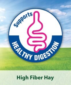 kaytee fiesta rabbit food, nutritious and fun blend, supports dental health and digestion, 3.5 pounds