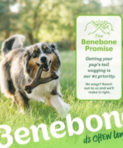 benebone 2 pack wishbone/dental durable dog chew toys, dog toys for aggressive chewers, real bacon, made in usa, medium