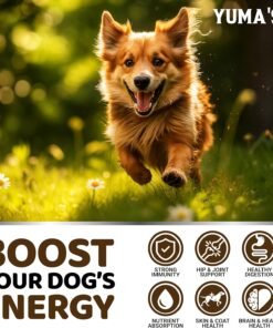 zesty paws dog multivitamin, chewable dog vitamins and supplements for hip & joints, skin & coat, omega 3 fish oil for dogs senior & puppy multivitamin chicken 90ct