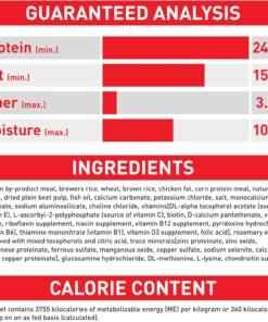 royal canin size health nutrition large adult dry dog food
