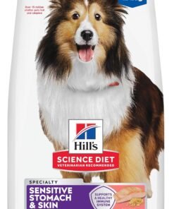 hill