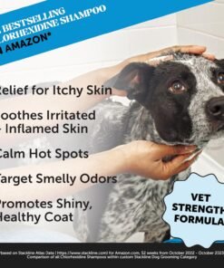 pet honesty chlorhexidine cat & dog seasonal itch relief shampoo, for allergies, itching, skin and coat supplement, helps shedding, hot spots, deodorizing dog shampoo & grooming supplies,16oz