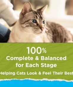 purina cat chow hairball, healthy weight, indoor, natural dry cat food, naturals indoor purina cat chow hairball, healthy weight, indoor, natural dry cat food, naturals indoor