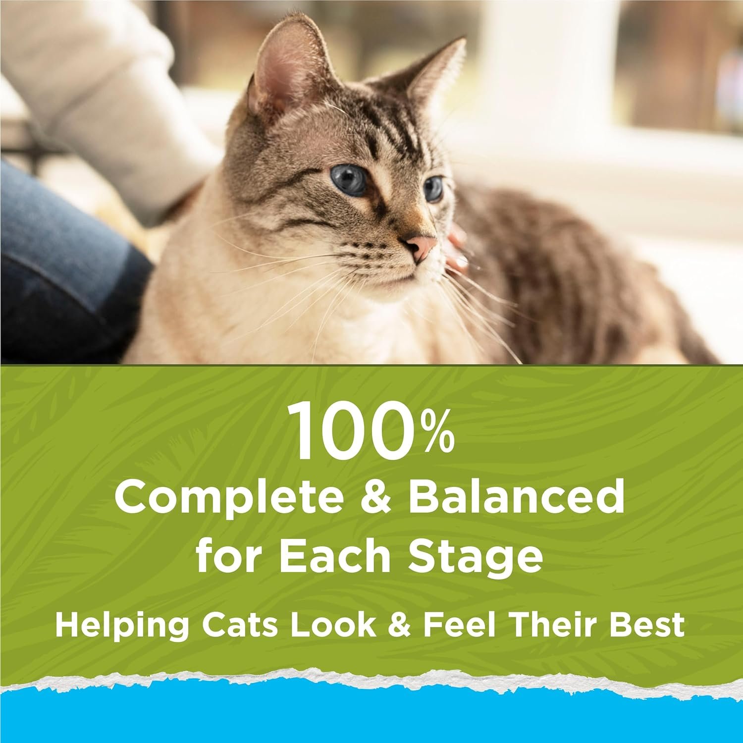 purina cat chow hairball, healthy weight, indoor, natural dry cat food, naturals indoor purina cat chow hairball, healthy weight, indoor, natural dry cat food, naturals indoor