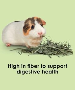kaytee fiesta rabbit food, nutritious and fun blend, supports dental health and digestion, 3.5 pounds