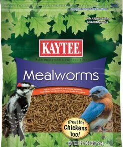 kaytee essentials blend with black oil sunflower, cracked corn and millet, wild bird food seed for cardinals, jays, finches, chickadees, nuthatches, woodpeckers, grosbeaks, juncos, 9.5 pounds
