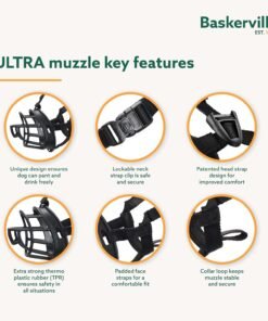 rabbitgoo dog harness no pull with 2 leash clips, adjustable soft padded, reflective oxford no choke pet vest with easy control handle for large dogs, black, l rabbitgoo dog harness no pull with 2 leash clips, adjustable soft padded, reflective oxford no choke pet vest with easy control handle for large dogs, black, l