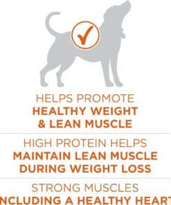 purina one plus healthy weight high protein dog food dry formula