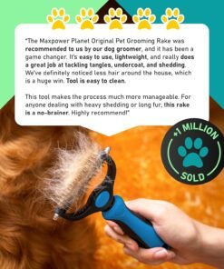 pet honesty chlorhexidine cat & dog seasonal itch relief shampoo, for allergies, itching, skin and coat supplement, helps shedding, hot spots, deodorizing dog shampoo & grooming supplies,16oz