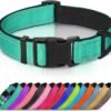 rabbitgoo dog harness no pull with 2 leash clips, adjustable soft padded, reflective oxford no choke pet vest with easy control handle for large dogs, black, l