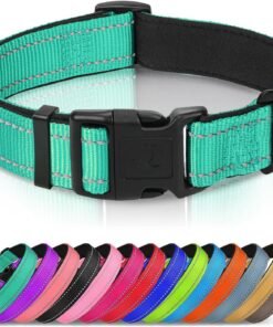 rabbitgoo dog harness no pull with 2 leash clips, adjustable soft padded, reflective oxford no choke pet vest with easy control handle for large dogs, black, l