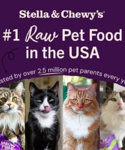 stella & chewy's freeze dried raw cat dinner morsels premium chicken recipe with 98% cage free meat & organs natural grain free cat & kitten food made in usa 3.5 oz