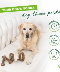 benebone 2 pack wishbone/dental durable dog chew toys, dog toys for aggressive chewers, real bacon, made in usa, medium