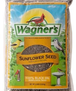 wagner's 57075 safflower seed wild bird food, 5 pound