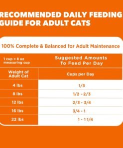 purina cat chow hairball, healthy weight, indoor, natural dry cat food, naturals indoor